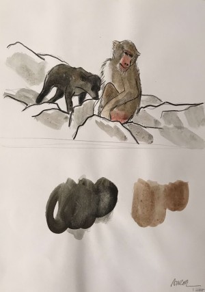 Chiens et babouins page 65 bis