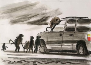 Chiens, babouins et humains page 66