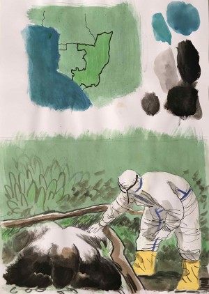 Galerie Montpellier | AUREL: Ebola Congo page 155 