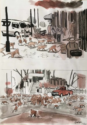 Galerie Montpellier | AUREL: Covid et gangs de singes page 158