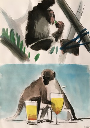 Galerie Montpellier | AUREL: Singes verts et chimpazé de Boussou Alcool