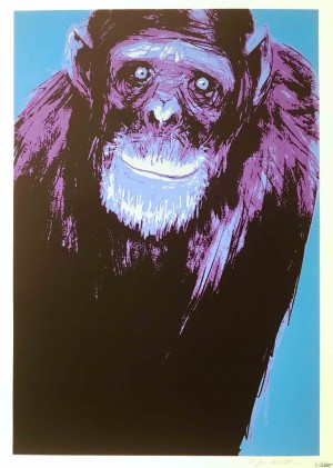 Galerie Montpellier | AUREL: Chimpanzé