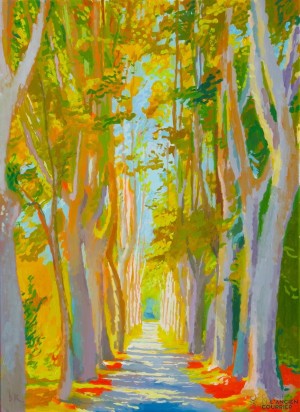 Galerie Montpellier | David Rycroft: Avenue de platanes