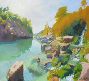 Galerie Montpellier | David Rycroft: Cascades, gorges de l'Hérault