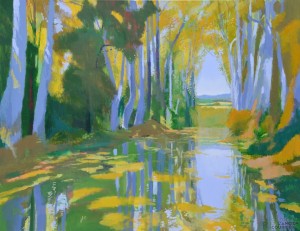 Galerie Montpellier | David Rycroft: Platanes de la Commanderie I 