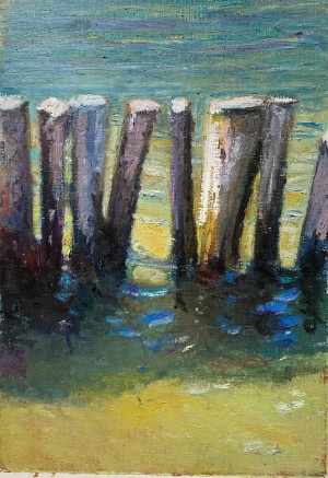 Galerie Montpellier | Christophe Marmey: Les piquets du Salaison